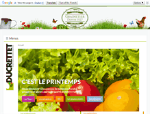 Tablet Screenshot of ducrettet.com